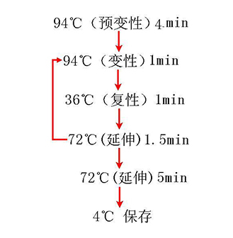 尊龙凯时网娱乐最新版 - 人生就得搏官网