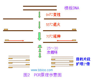 尊龙凯时网娱乐最新版 - 人生就得搏官网